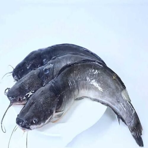Catfish Steak 1kg
